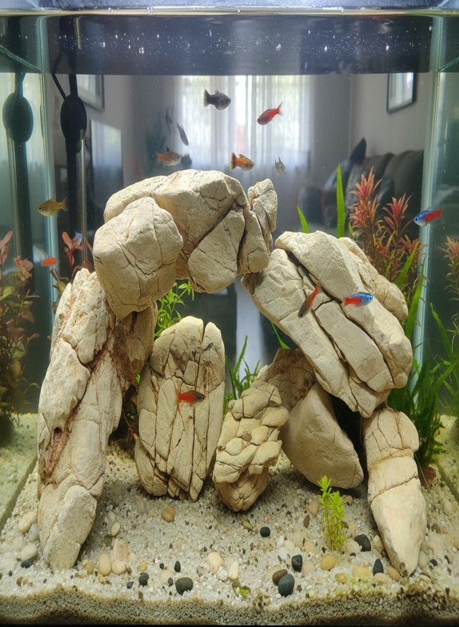 RUKDA Natural Elephant Skin Stone for Aquarium & Aquascaping - Textured Elephant Rock Hardscape for Betta, Shrimp & Planted Tanks (2.7, Kilograms) - Image 5